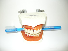Mundhygieneunterweisung - Professionelle Zahnreinigung